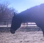 When a Body Finally Knows It’s Safe