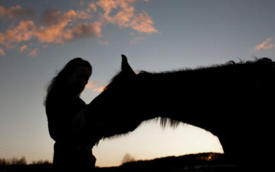 Honoring Different Needs in Horse-Based Work