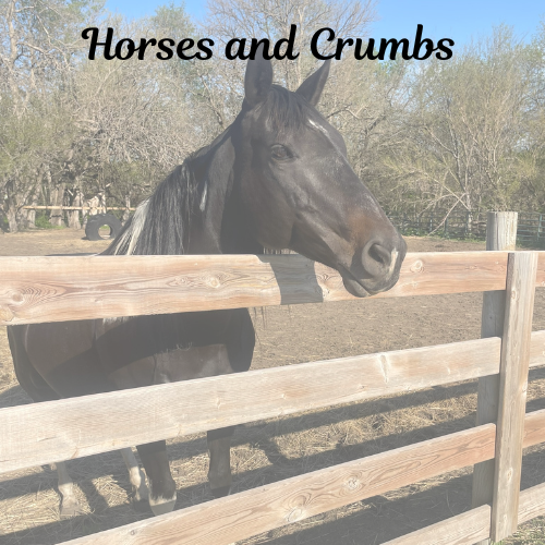 Clearing the Crumbs: A Lesson from the Toaster and the Herd