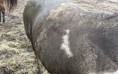 Leaving the Muck Behind