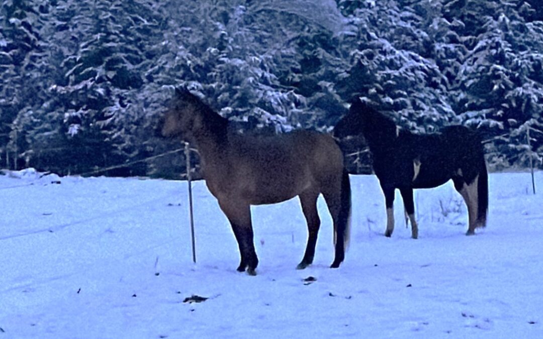 When Winter Gets Heavy