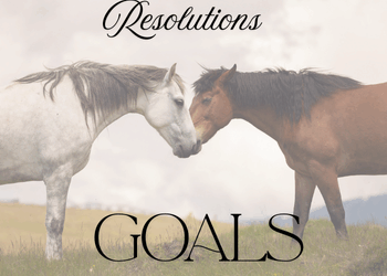 Resolutions vs Goals, and Why Vision Matters