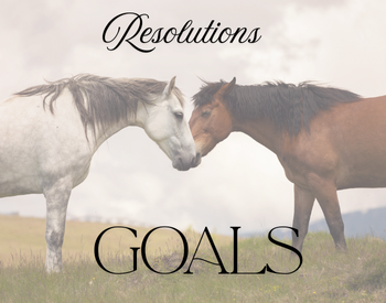 Resolutions vs Goals, and Why Vision Matters