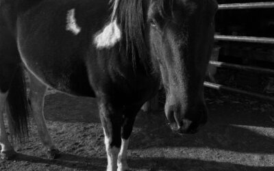 Boundaries that Hold